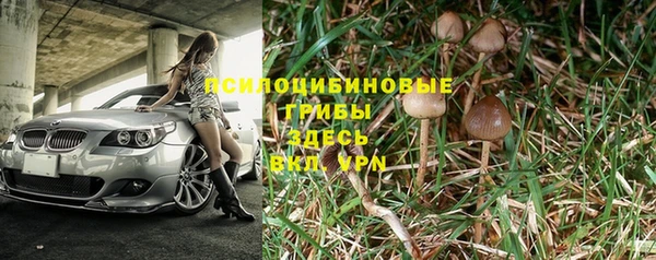 мяу мяу мука Лагань