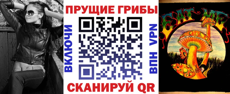 Купить где  Ивантеевка  Галлюциногенные грибы Psilocybe 